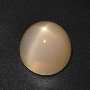 Pierre de lune étoilée crème naturelle coupe roude, 21,40 ct, translucide