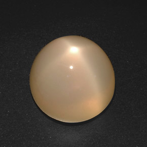 Pierre de lune étoilée crème naturelle coupe roude, 21,40 ct, translucide