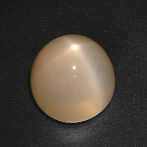 Pierre de lune étoilée crème naturelle coupe roude, 21,40 ct, translucide