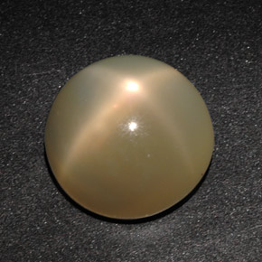 Pierre de lune étoilée crème naturelle transparent, 11,49 ct, transparent / translucide