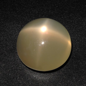 Pierre de lune étoilée crème naturelle transparent, 11,49 ct, transparent / translucide