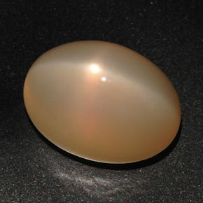 Pierre de lune étoilée orange naturelle coupe ovale, 22,59 ct, translucide