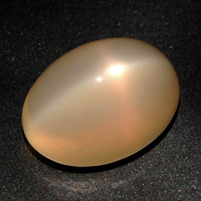Pierre de lune étoilée orange naturelle coupe ovale, 22,59 ct, translucide