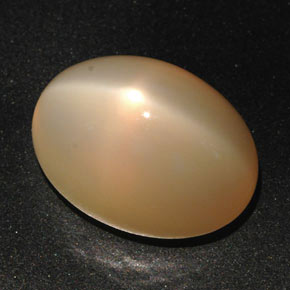 Pierre de lune étoilée orange naturelle coupe ovale, 22,59 ct, translucide