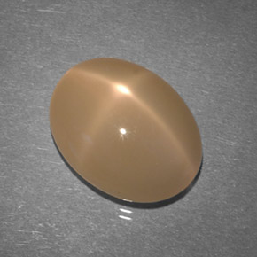 Pierre de lune étoilée Pêche Orange naturelle Coupe ovale, 7.86 ct, Translucide