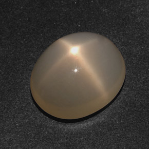 Pierre de lune étoilée crème naturelle coupe ovale, 10,21 ct, translucide