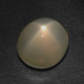 Pierre de lune étoilée crème naturelle coupe ovale, 16,01 ct, translucide
