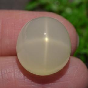 Pierre de lune étoilée crème naturelle coupe ovale, 15,93 ct, translucide