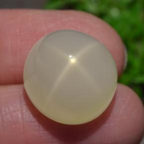 Pierre de lune étoilée crème naturelle coupe ovale, 15,93 ct, translucide