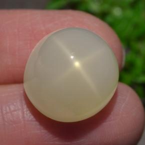 Pierre de lune étoilée crème naturelle coupe ovale, 15,93 ct, translucide