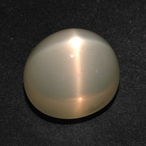 Pierre de lune étoilée crème naturelle coupe ovale, 14,28 ct, translucide