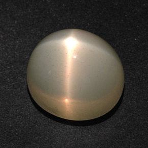 Pierre de lune étoilée crème naturelle coupe ovale, 14,28 ct, translucide