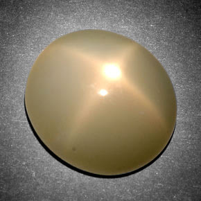 Pierre de lune étoilée Crème naturelle Coupe ovale, 12.69 ct, Translucide