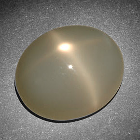 Pierre de lune étoilée crème naturelle coupe ovale, 10,09 ct, translucide