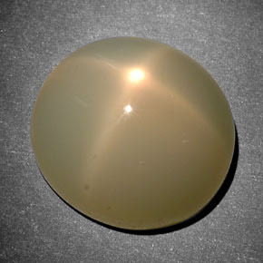 Pierre de lune étoilée crème naturelle coupe ovale, 11,42 ct, translucide