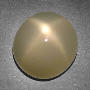 Pierre de lune étoilée Crème naturelle Coupe ovale, 14.65 ct, Translucide