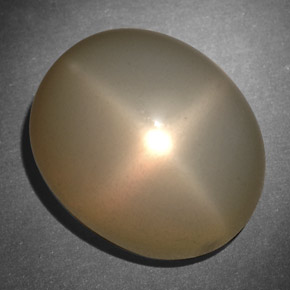 Pierre de lune étoilée crème naturelle coupe ovale, 26,57 ct, translucide
