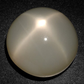 Pierre de lune étoilée Crème naturelle Coupe roude, 25.57 ct, Translucide