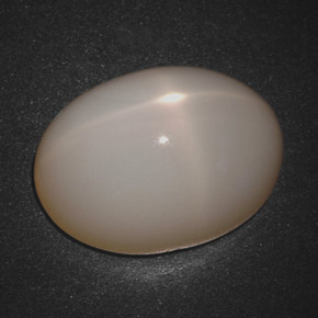 Pierre de lune étoilée crème naturelle coupe ovale, 18,30 ct, translucide