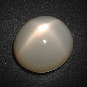 Pierre de lune étoilée crème naturelle coupe ovale, 19,33 ct, translucide