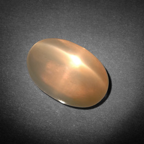 Pierre de lune étoilée crème naturelle transparent, 7,71 ct, transparent / translucide