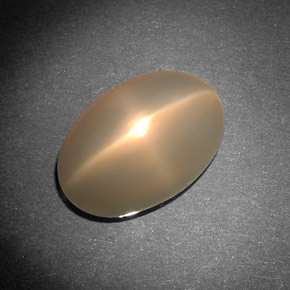Pierre de lune étoilée crème naturelle transparent, 8,29 ct, transparent / translucide