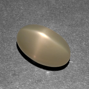 Pierre de lune étoilée crème naturelle transparent, 9,13 ct, transparent / translucide