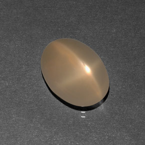 Pierre de lune étoilée crème naturelle transparent, 7,09 ct, transparent / translucide