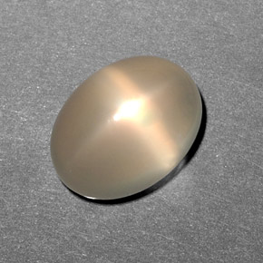 Pierre de lune étoilée crème naturelle transparent, 10,79 ct, transparent / translucide
