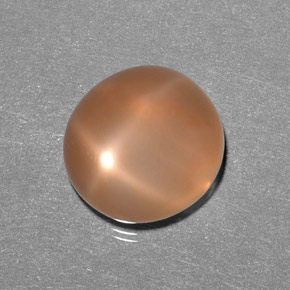 Pierre de lune étoilée orange naturelle transparent, 9,31 ct, transparent / translucide