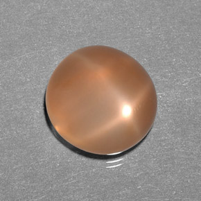 Pierre de lune étoilée orange naturelle transparent, 9,31 ct, transparent / translucide