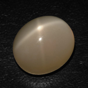 Pierre de lune étoilée crème naturelle transparent, 16,54 ct, transparent / translucide
