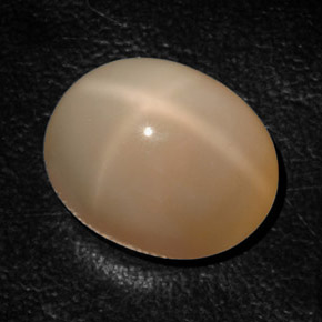 Pierre de lune étoilée orange naturelle transparent, 17,94 ct, transparent / translucide