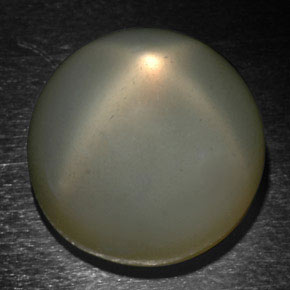 Pierre de lune étoilée gris naturelle coupe roude, 24,37 ct, translucide