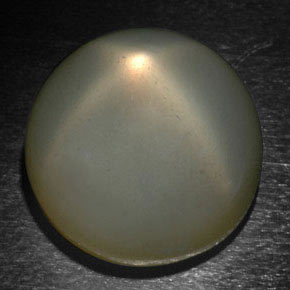 Pierre de lune étoilée gris naturelle coupe roude, 24,37 ct, translucide