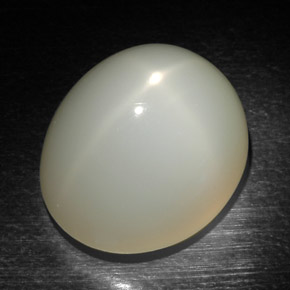 Pierre de lune étoilée crème naturelle coupe ovale, 22,97 ct, translucide