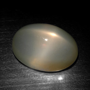 Pierre de lune étoilée gris naturelle coupe ovale, 18,57 ct, translucide
