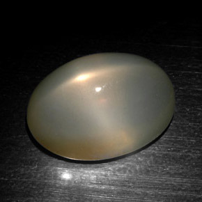 Pierre de lune étoilée gris naturelle coupe ovale, 18,57 ct, translucide