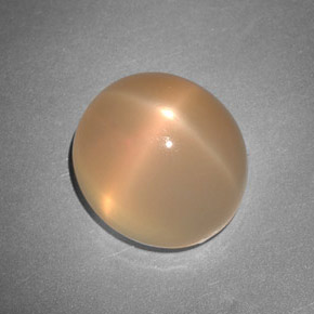 Pierre de lune étoilée orange naturelle transparent, 7,48 ct, transparent / translucide