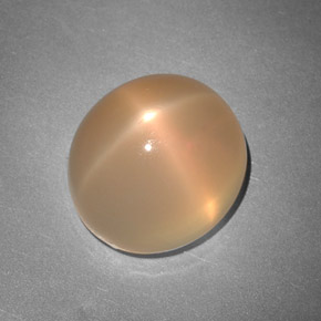 Pierre de lune étoilée orange naturelle transparent, 7,48 ct, transparent / translucide