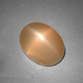 Pierre de lune étoilée Pêche Orange naturelle Transparent, 6.88 ct, Transparent / Translucide