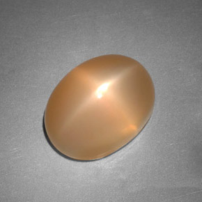 Pierre de lune étoilée Pêche Orange naturelle Transparent, 6.88 ct, Transparent / Translucide