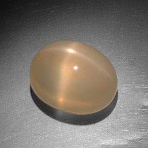 Pierre de lune étoilée orange naturelle transparent, 9,14 ct, transparent / translucide