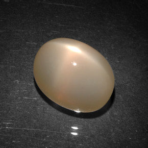 Pierre de lune étoilée orange naturelle transparent, 9,06 ct, transparent / translucide