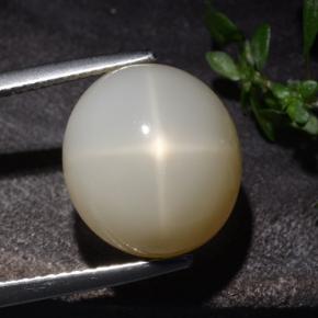 Pierre de lune étoilée crème naturelle coupe ovale, 10,60 ct, translucide