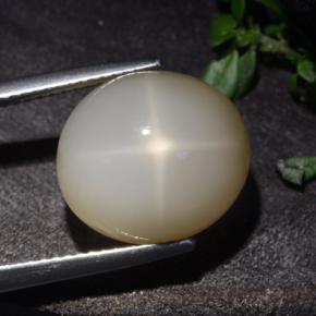 Pierre de lune étoilée crème naturelle coupe ovale, 10,60 ct, translucide