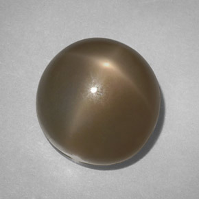 Pierre de lune étoilée fumé naturelle coupe roude, 14,61 ct, translucide