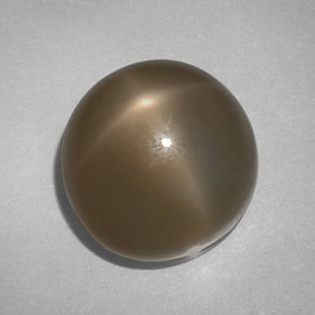 Pierre de lune étoilée fumé naturelle coupe roude, 14,61 ct, translucide