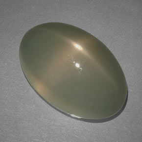 Pierre de lune étoilée Fumée naturelle Coupe ovale, 17.69 ct, Translucide