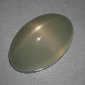 Pierre de lune étoilée Fumée naturelle Coupe ovale, 17.69 ct, Translucide